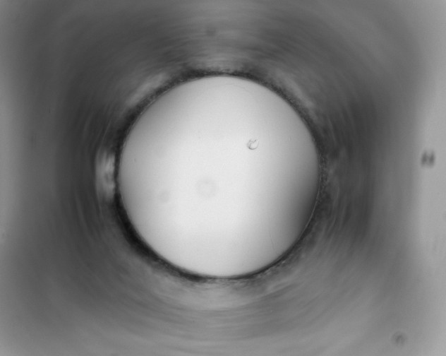 X0000102030020200808011458