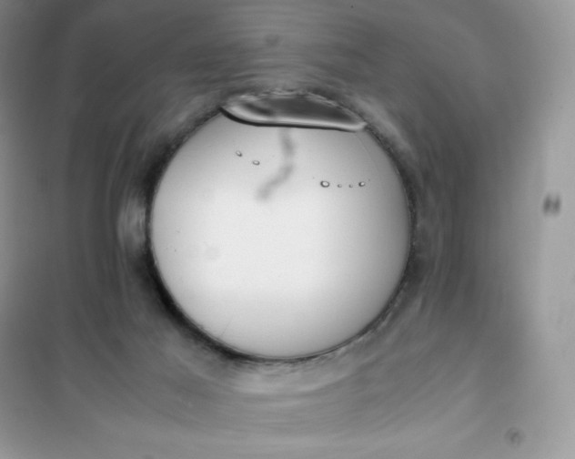 X0000102030021200808011458