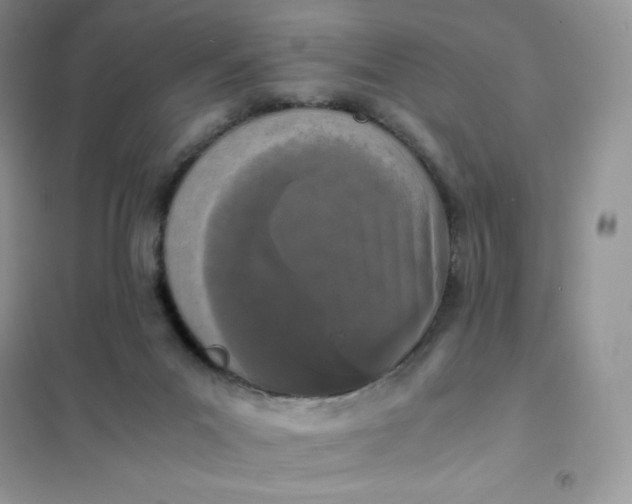 X0000102030023200808011458