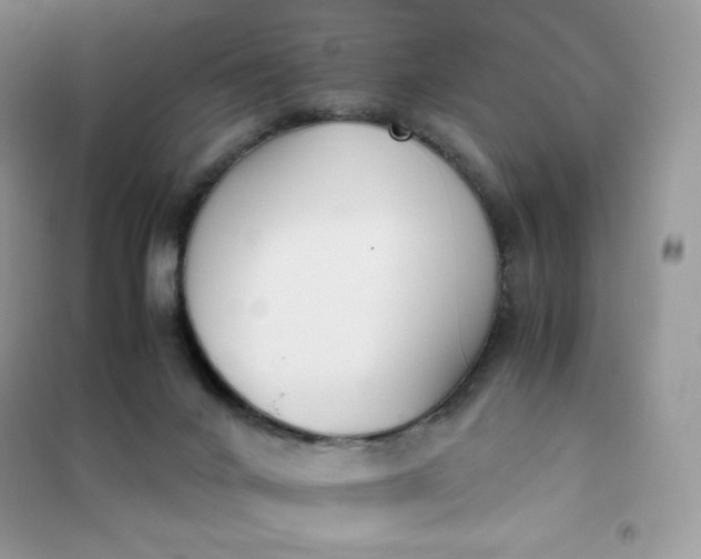 X0000102030024200808011458