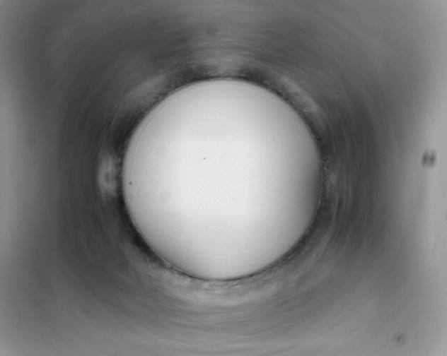 X0000102030026200808011458