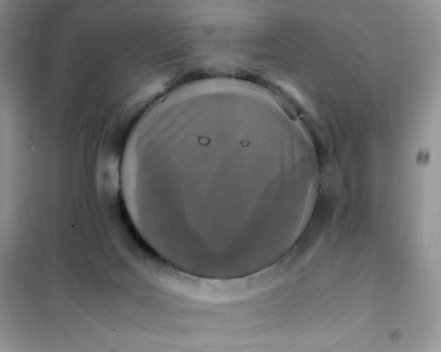 X0000102030027200808011458