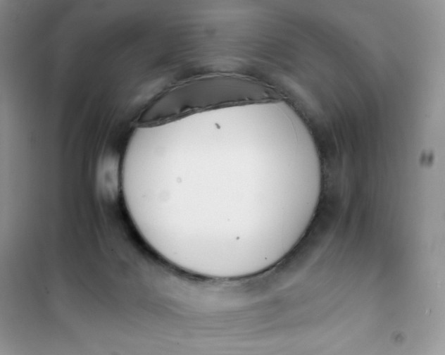 X0000102030028200808011458