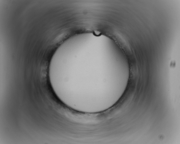 X0000102030032200808011457