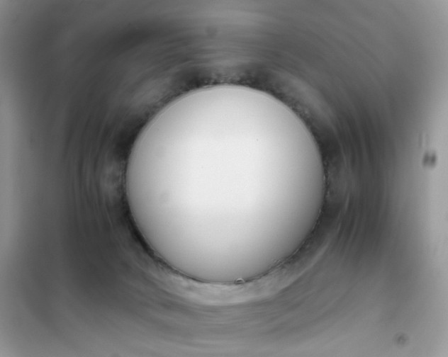 X0000102030034200808011457