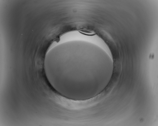 X0000102030039200808011457