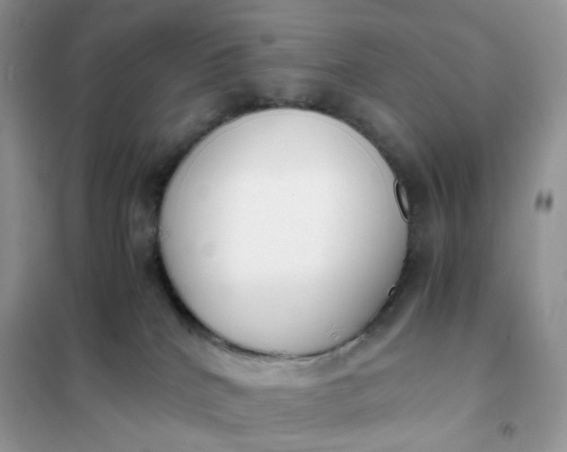 X0000102030040200808011457