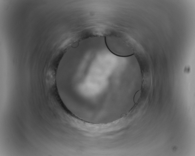 X0000102030043200808011457