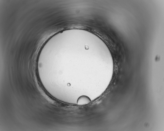 X0000102030049200808011457