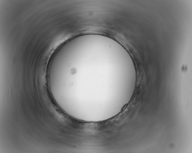 X0000102030050200808011457