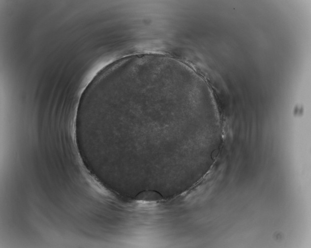 X0000102030052200808011457