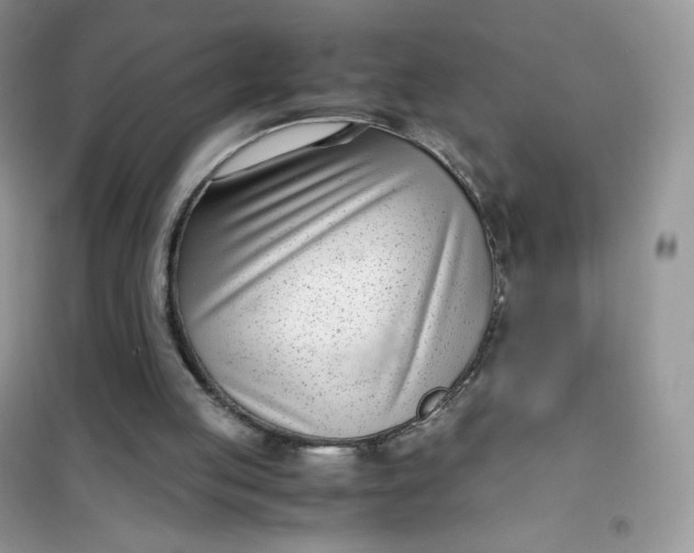 X0000102030053200808011457