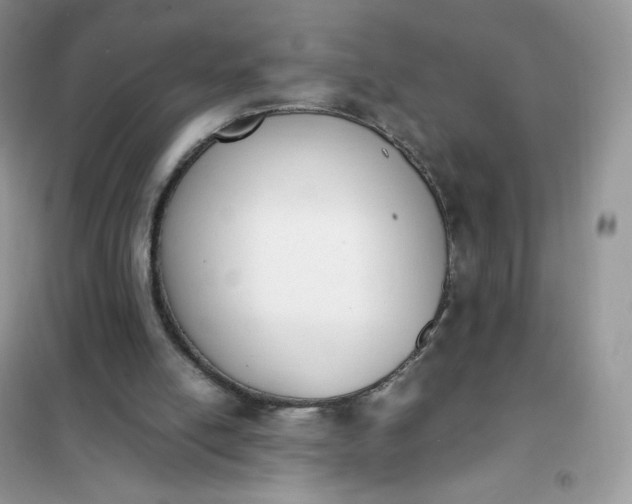 X0000102030054200808011457