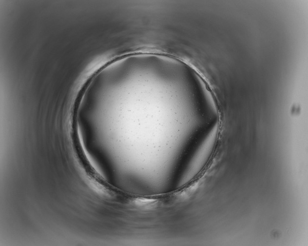 X0000102030055200808011457