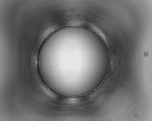 X0000102030059200808011457