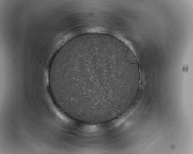 X0000102030061200808011457