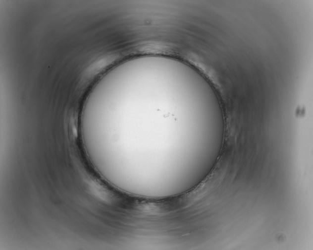 X0000102030062200808011457