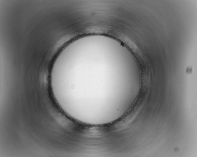 X0000102030064200808011457