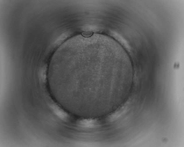 X0000102030065200808011457