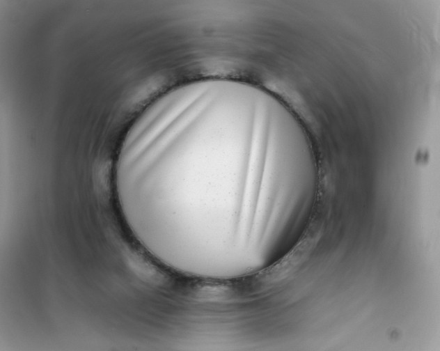 X0000102030066200808011457