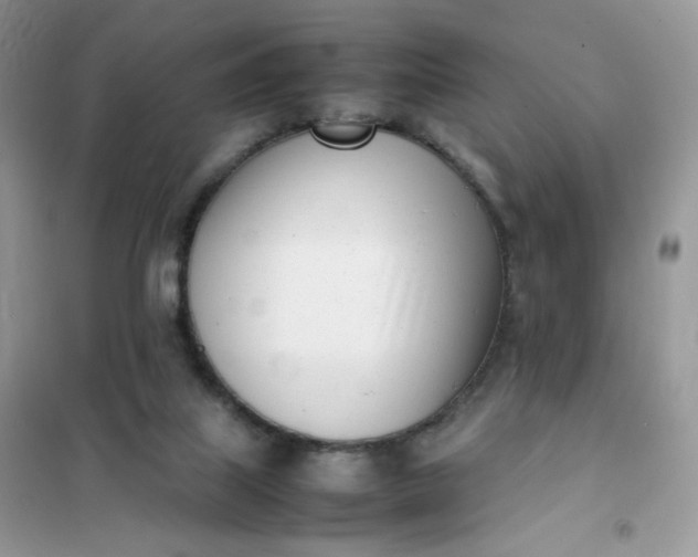 X0000102030067200808011457