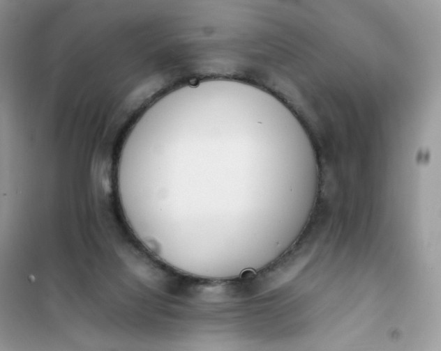 X0000102030068200808011457