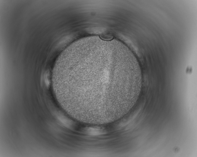 X0000102030069200808011457