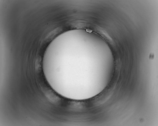 X0000102030073200808011457