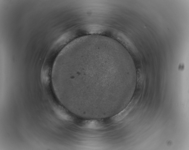 X0000102030074200808011457