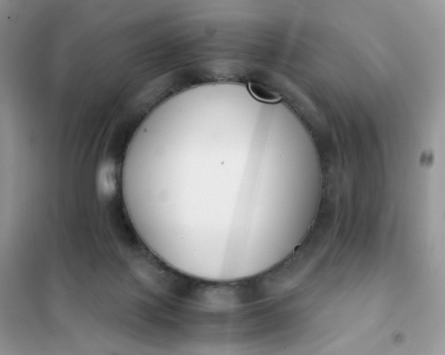 X0000102030075200808011457