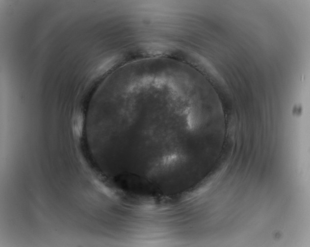 X0000102030076200808011457