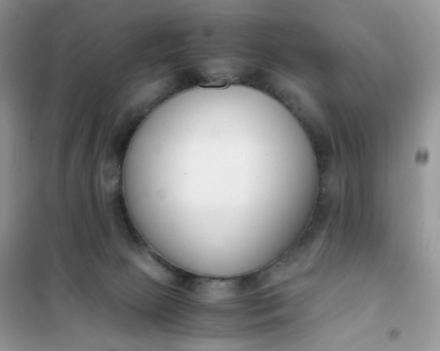 X0000102030081200808011457