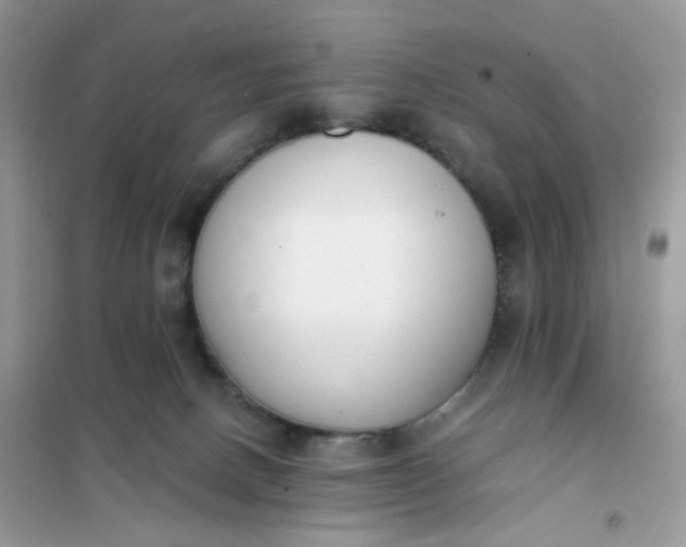 X0000102030082200808011457