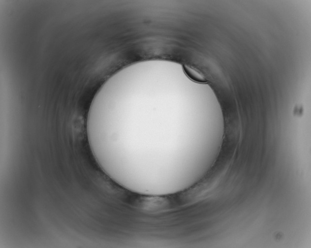 X0000102030087200808011457