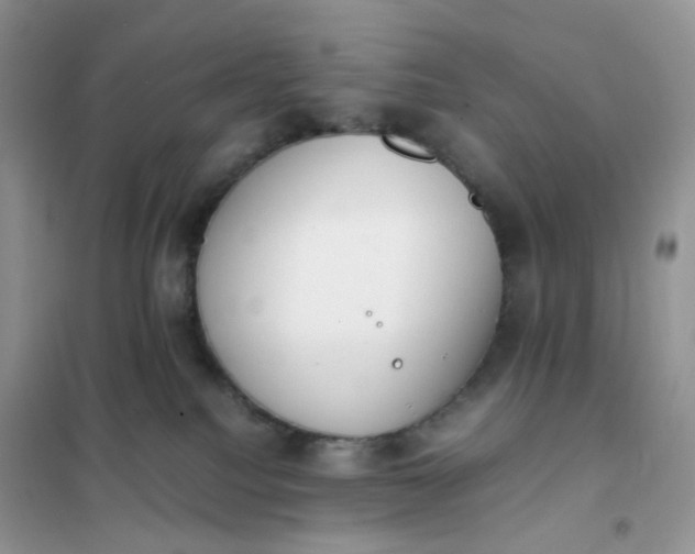 X0000102030088200808011457