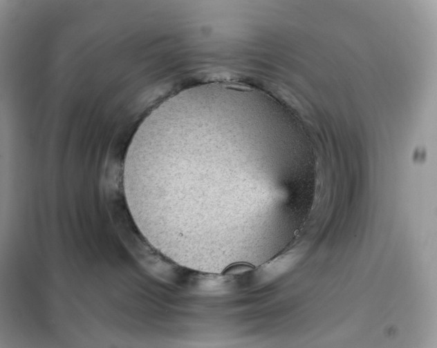 X0000102030096200808011457