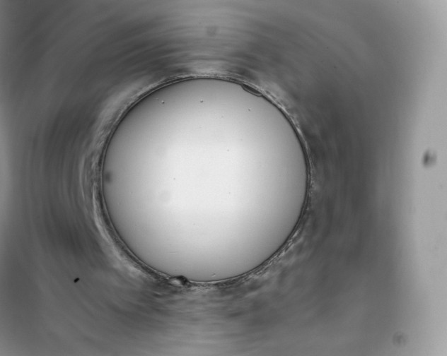 X0000102030097200808011457