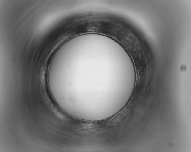 X0000102030098200808011457