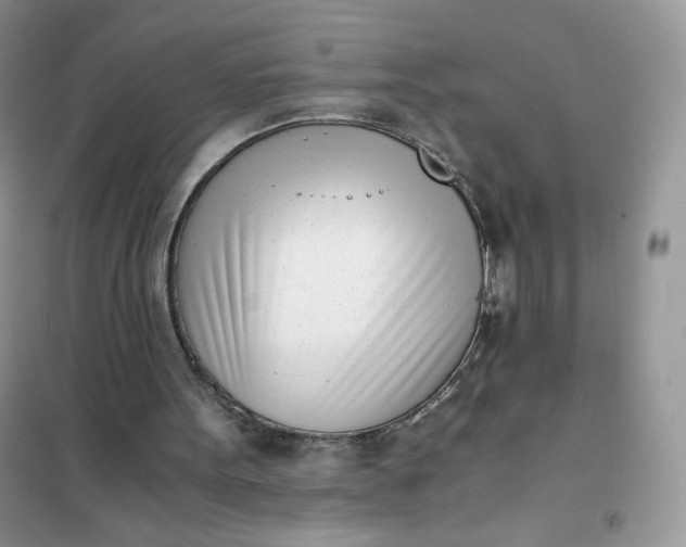 X0000102030099200808011457