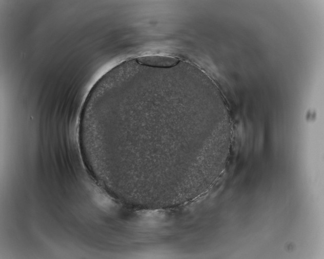 X0000102030100200808011457