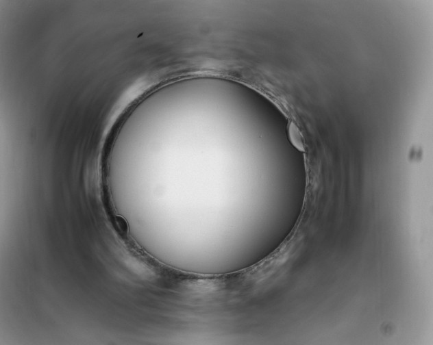 X0000102030102200808011456