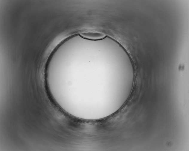 X0000102030103200808011456