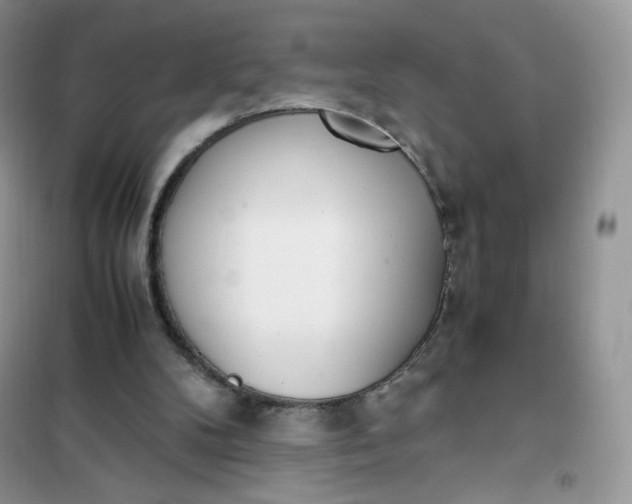 X0000102030104200808011456