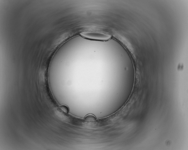 X0000102030105200808011456