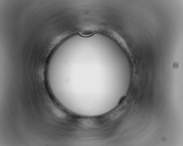 X0000102030106200808011456