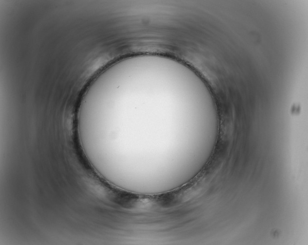 X0000102030111200808011456