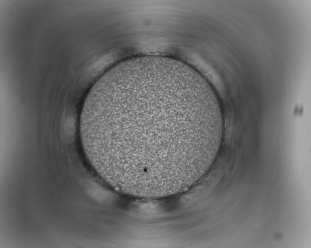 X0000102030113200808011456