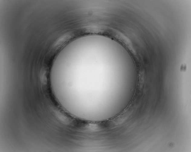 X0000102030114200808011456