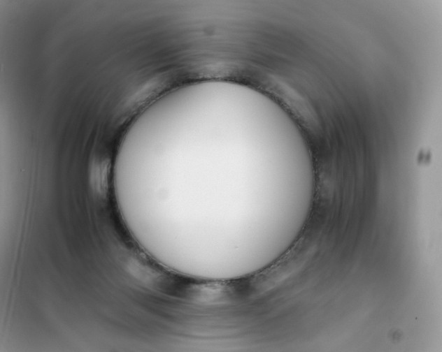 X0000102030118200808011456