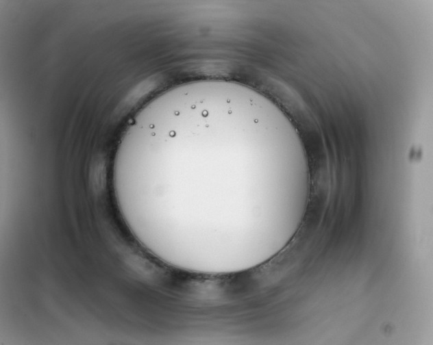 X0000102030120200808011456